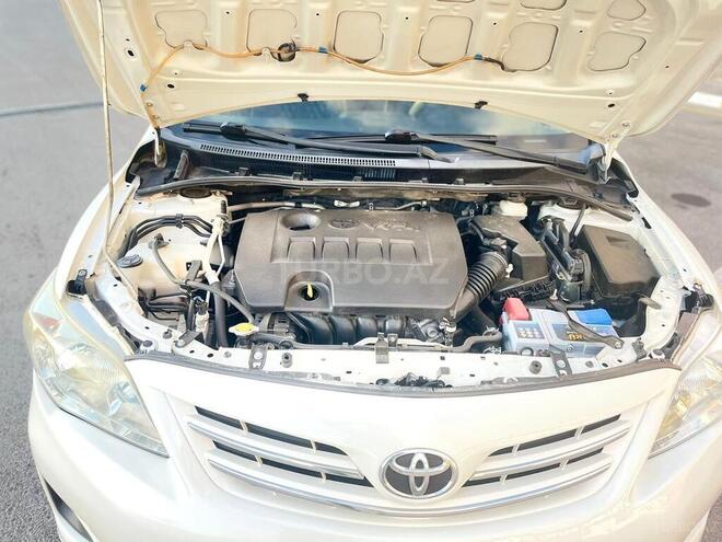 Toyota Corolla-8