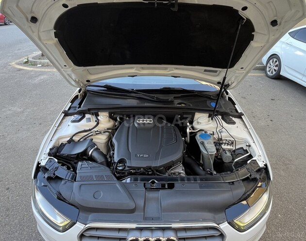 Audi A4-17