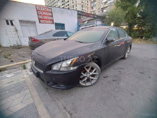 Nissan Maxima-1