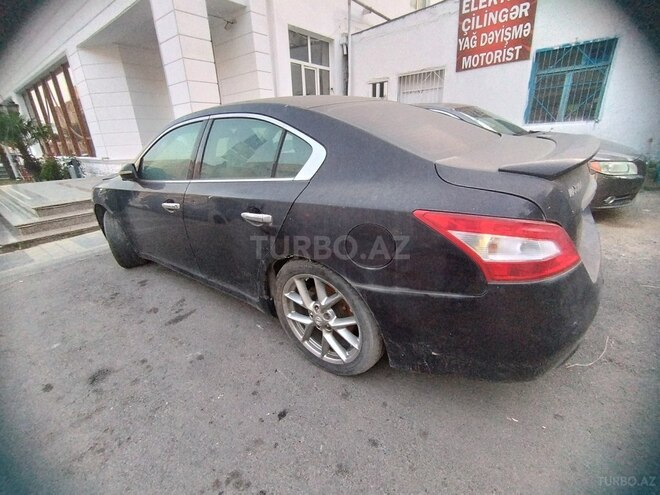 Nissan Maxima-3