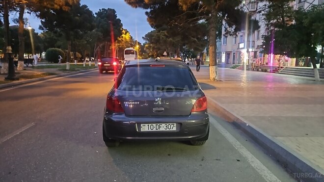 Peugeot 307-4