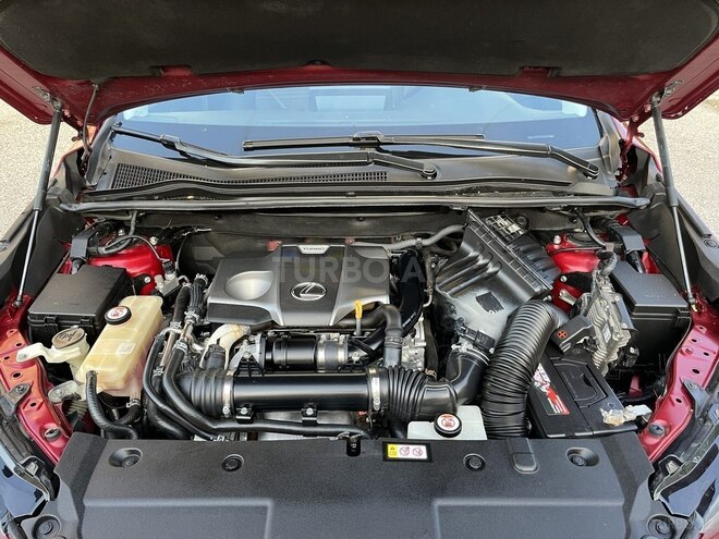 Lexus NX 300-13