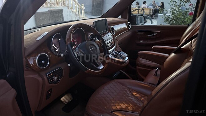 Mercedes Viano-13