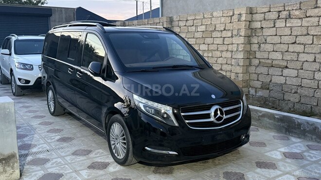 Mercedes Viano-2