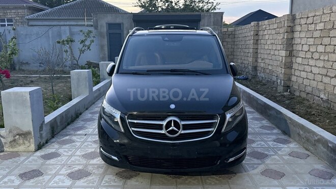 Mercedes Viano-1