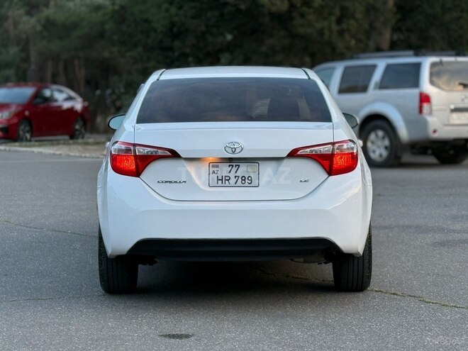 Toyota Corolla-7