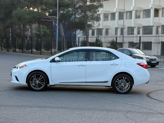 Toyota Corolla-4