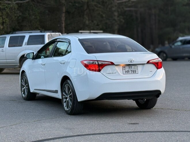 Toyota Corolla-6