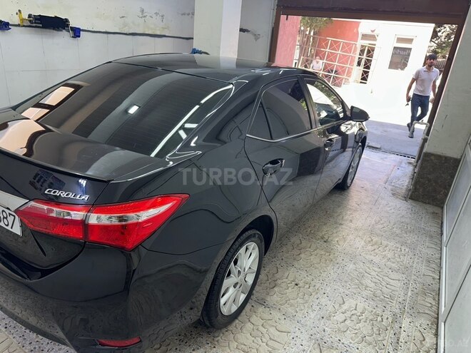 Toyota Corolla-4