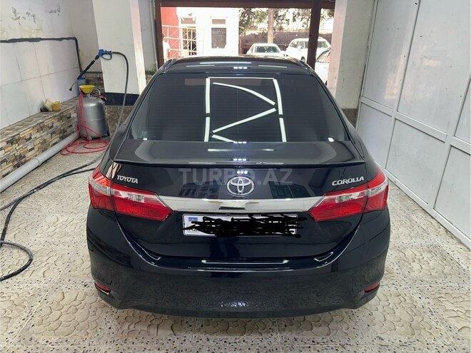 Toyota Corolla-10