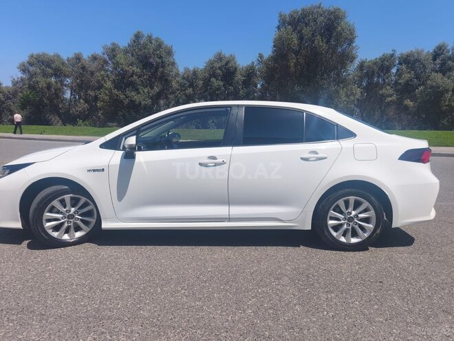 Toyota Corolla-4
