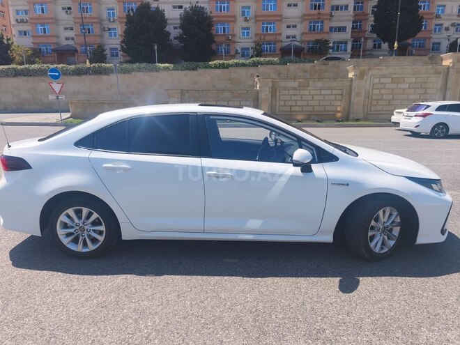 Toyota Corolla-3