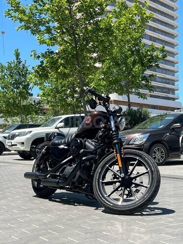Harley-Davidson XL883N Sportster Iron 883-3