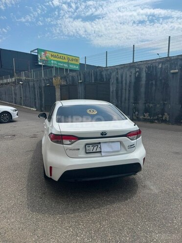 Toyota Corolla-4