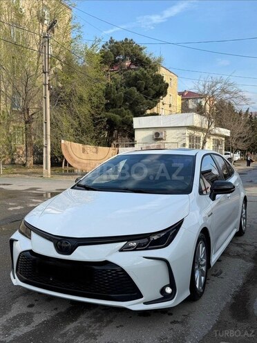 Toyota Corolla-7