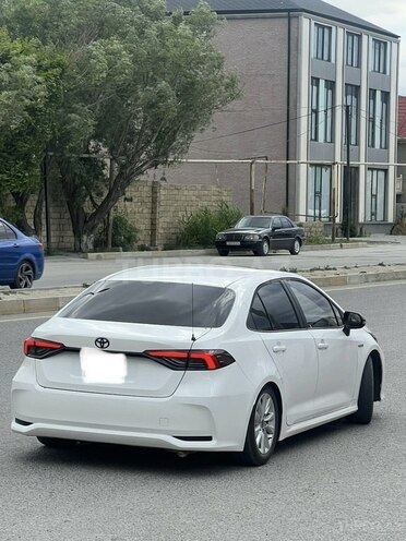 Toyota Corolla-6