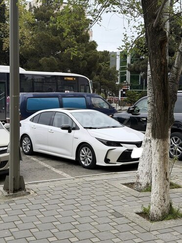 Toyota Corolla-3