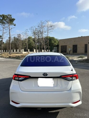 Toyota Corolla-12