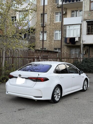 Toyota Corolla-13