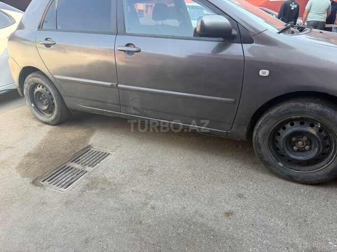 Toyota Corolla-6