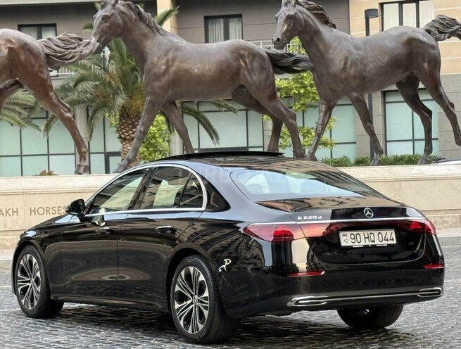 Mercedes E 220 d-11