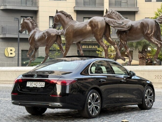 Mercedes E 220 d-12