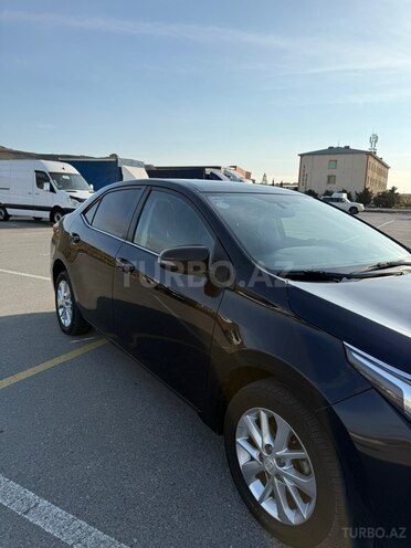 Toyota Corolla-6