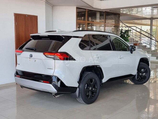 Toyota RAV4-8
