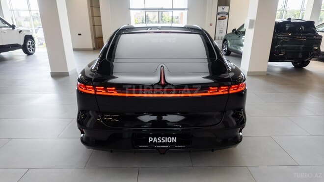 Voyah Passion-18