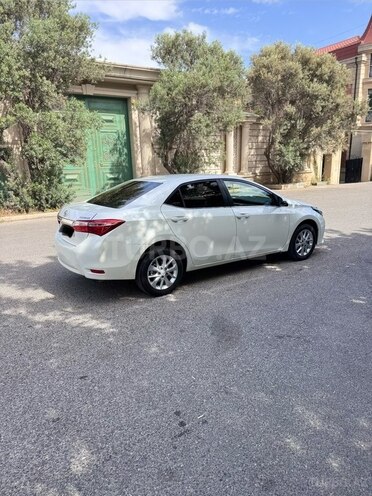 Toyota Corolla-6