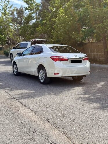 Toyota Corolla-4