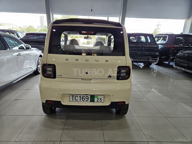 Geely Geometry Panda Mini-6