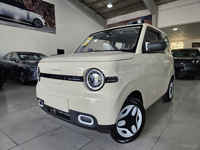 Geely Geometry Panda Mini-2