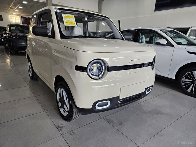 Geely Geometry Panda Mini-13