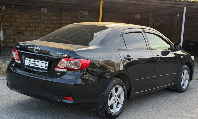 Toyota Corolla-6