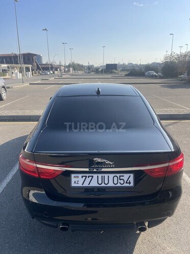 Jaguar XF-3