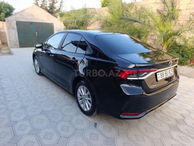 Toyota Corolla-6