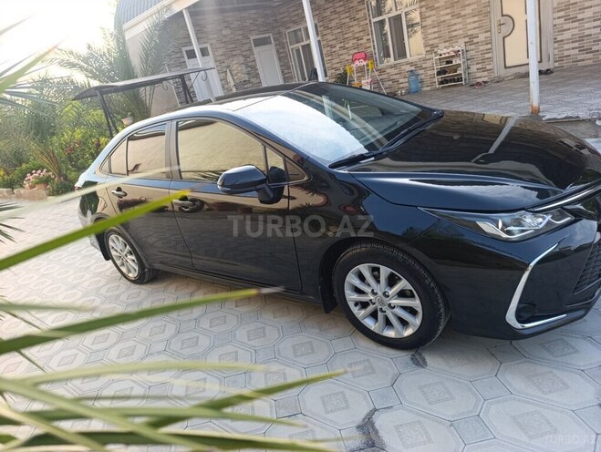 Toyota Corolla-8