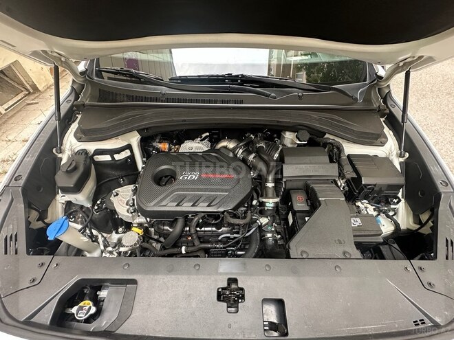 Hyundai Santa Fe-21