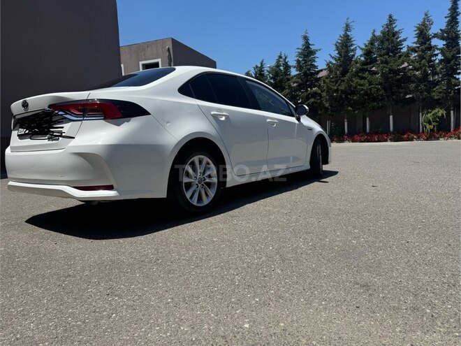 Toyota Corolla-6