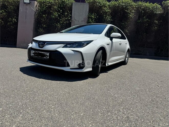 Toyota Corolla-8