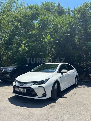 Toyota Corolla-3