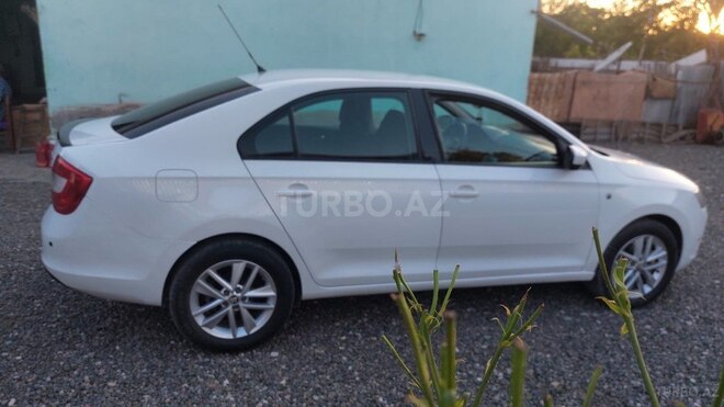 Skoda Rapid-8