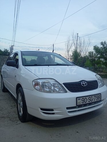 Toyota Corolla-1