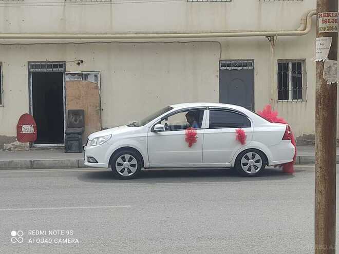 Ravon Nexia R3-12
