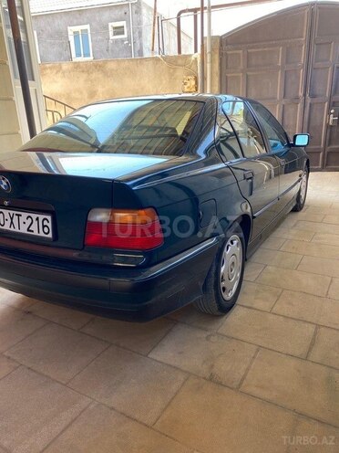 BMW 316-8