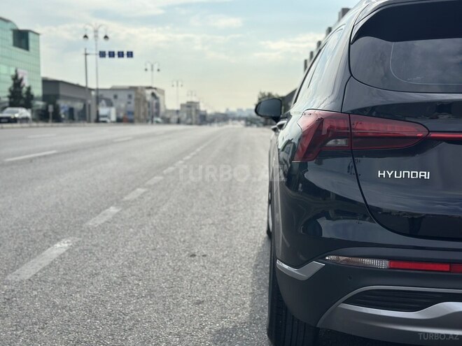 Hyundai Santa Fe-12