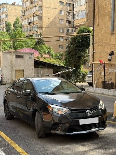 Toyota Corolla-5