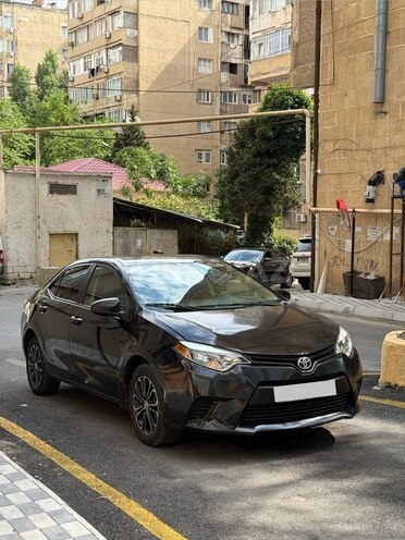 Toyota Corolla-2