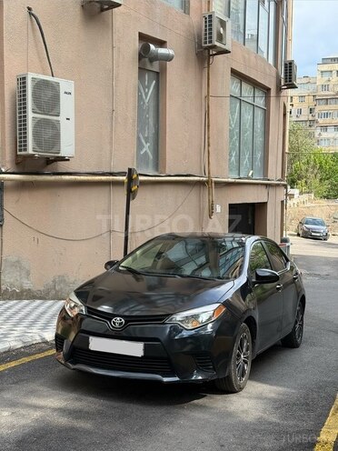 Toyota Corolla-3